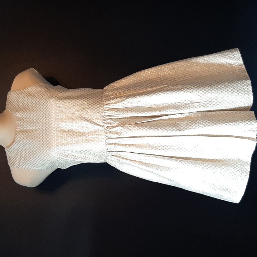 Paul and Joe sister size 10 dress